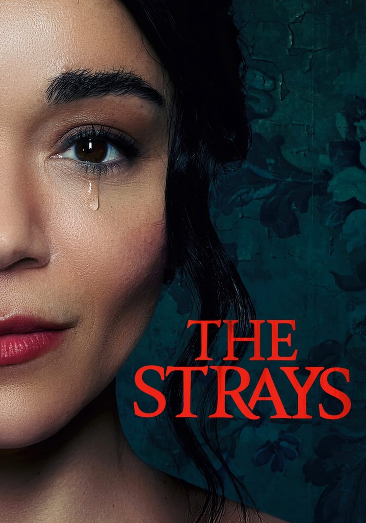 The Strays movie where to watch streaming online